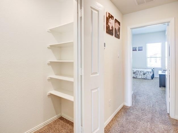 1646 Ryon Falls Drive - Photo 33