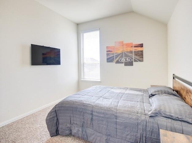 1646 Ryon Falls Drive - Photo 28