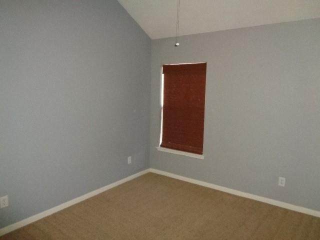 30002 Saw Oaks Drive - Photo 19