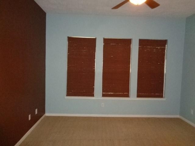 30002 Saw Oaks Drive - Photo 17