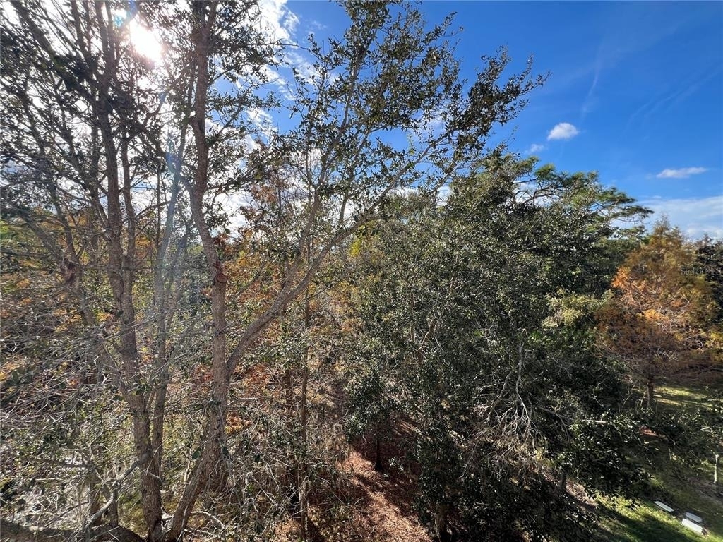 7350 Black Walnut Way - Photo 51
