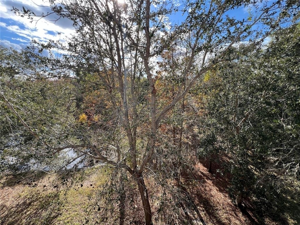 7350 Black Walnut Way - Photo 50