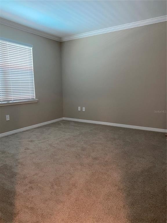 124 Soliera Street - Photo 4