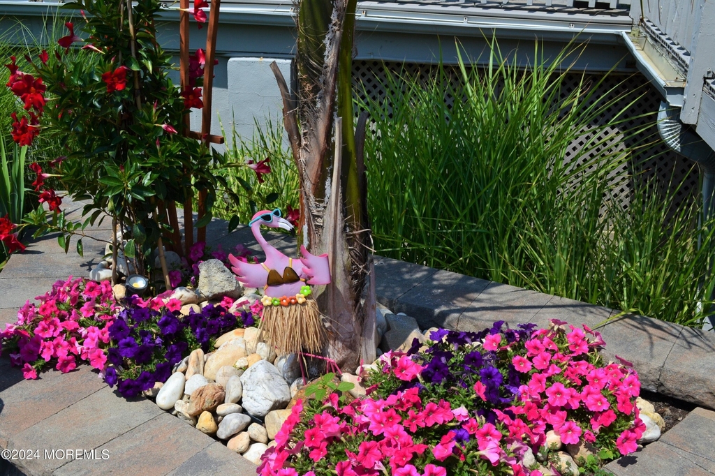 900 Ocean Avenue - Photo 13