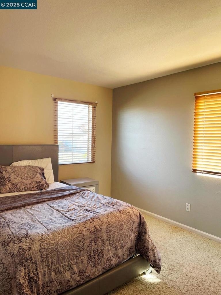 5224 Cedar Ridge Way - Photo 1