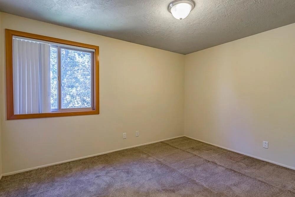 39501 Evans St - Photo 12