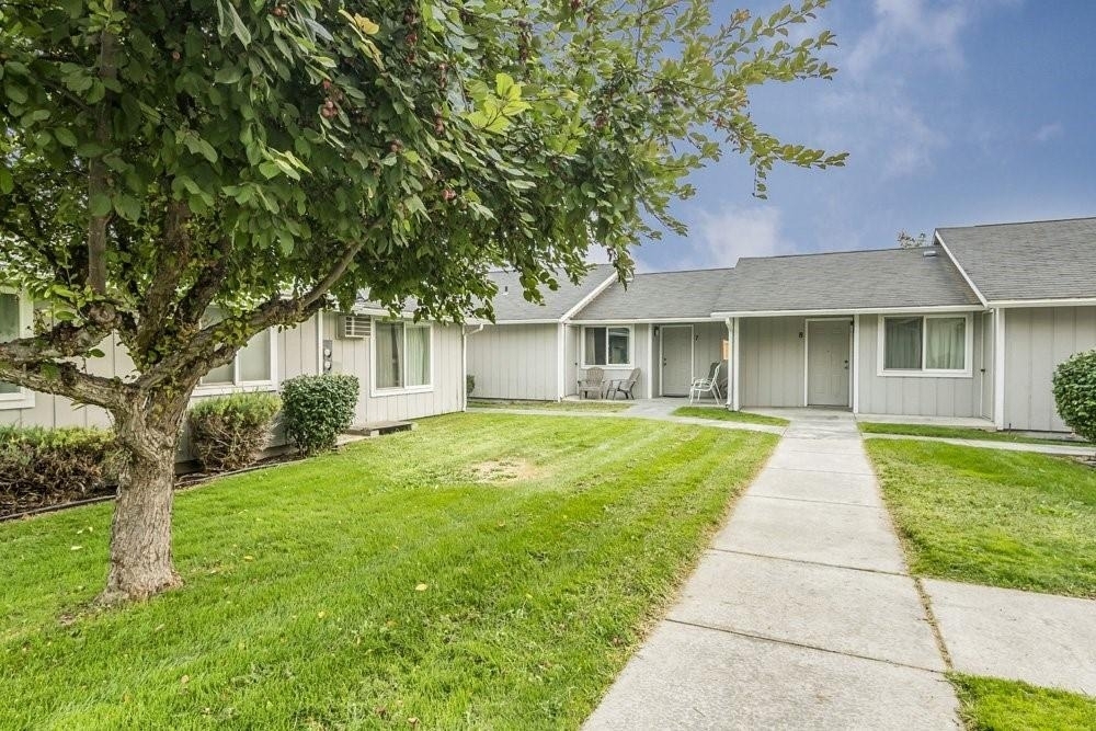 116 Ash Street - Photo 4