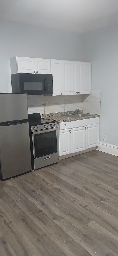 293 East 16th Street - Photo 0
