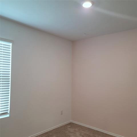 1213 Wildflower Street - Photo 6