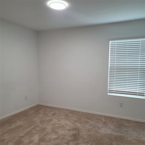 1213 Wildflower Street - Photo 8