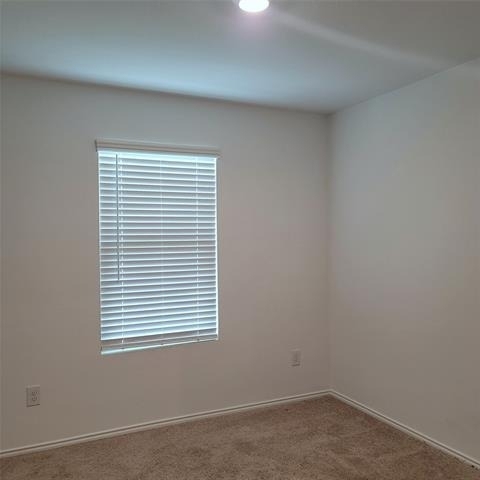 1213 Wildflower Street - Photo 3