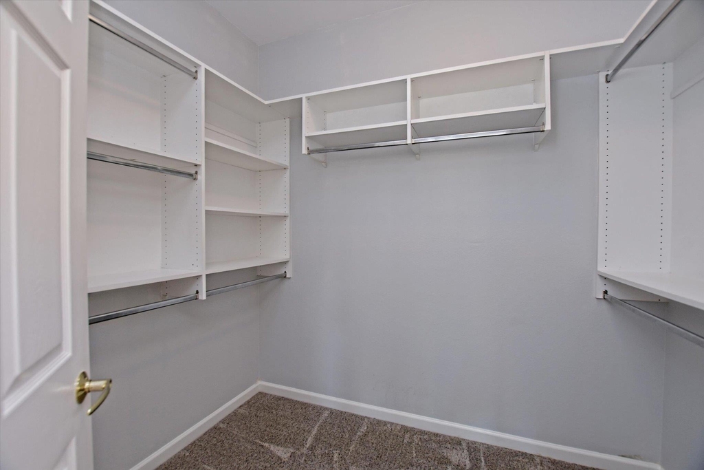 117 Beautybush Trl - Photo 16