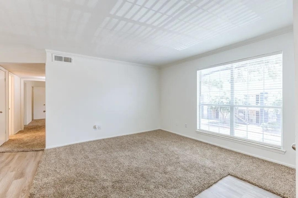 1100 Graham Drive - Photo 7