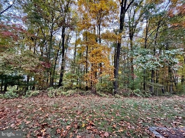 17120 Briardale - Photo 28