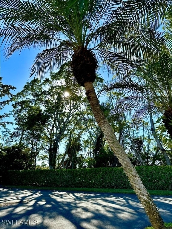 9828 Luna Circle - Photo 26