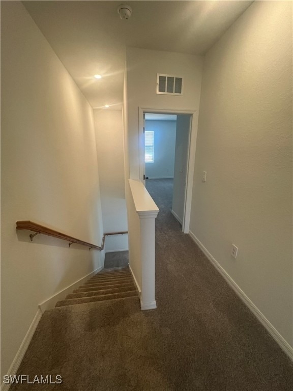 2971 Citrus Street - Photo 13