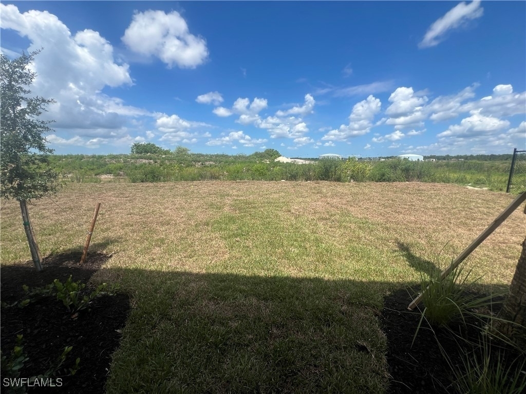 2971 Citrus Street - Photo 11