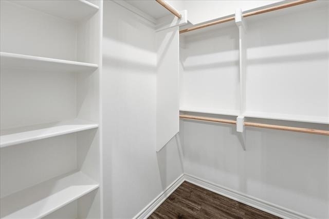 806 S Newsom Street - Photo 17
