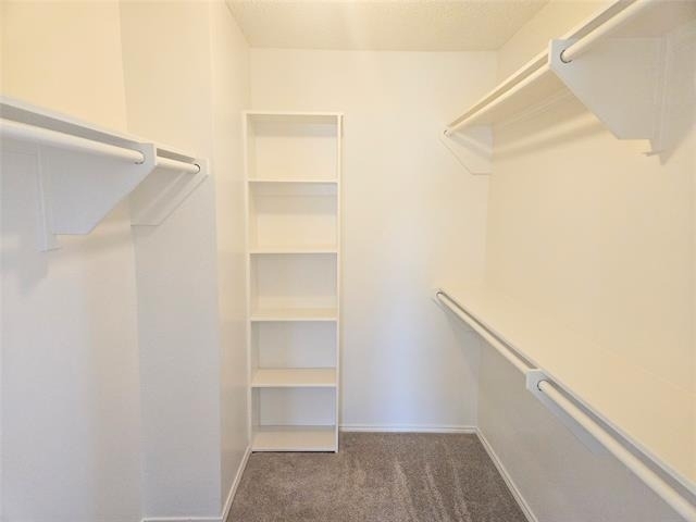 4625 Goldrock Drive - Photo 19