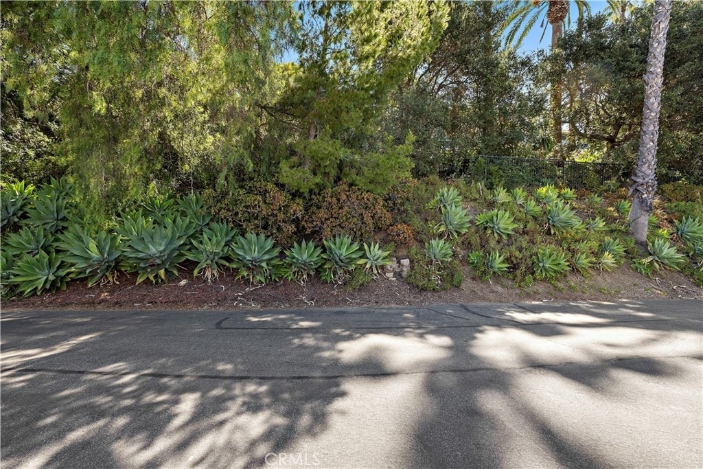 11393 La Vereda Drive - Photo 41