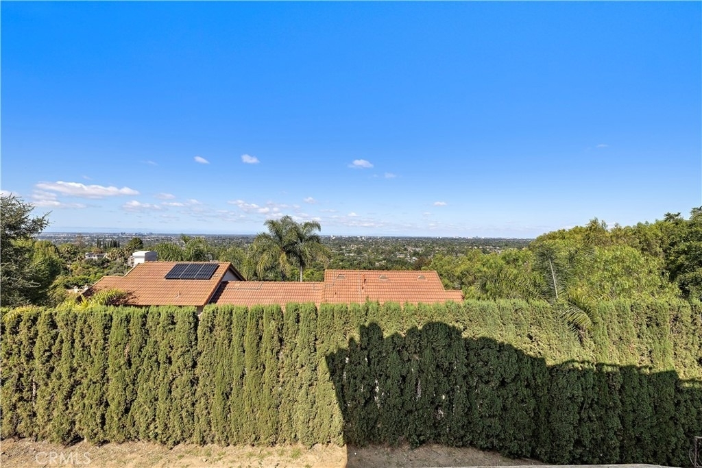 11393 La Vereda Drive - Photo 36