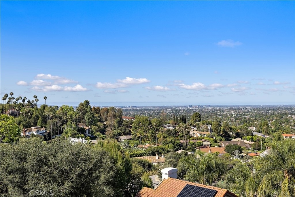 11393 La Vereda Drive - Photo 33