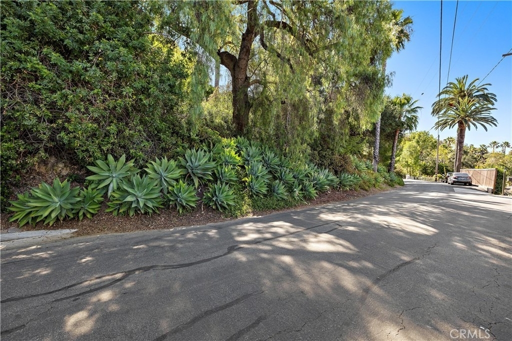11393 La Vereda Drive - Photo 40