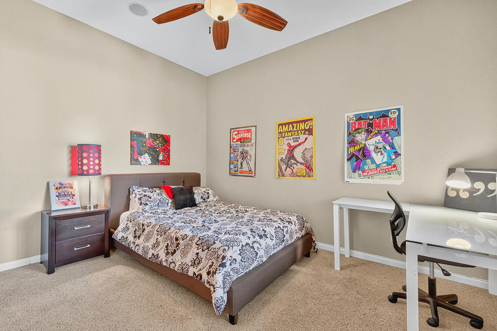 35831 Raphael Drive - Photo 16