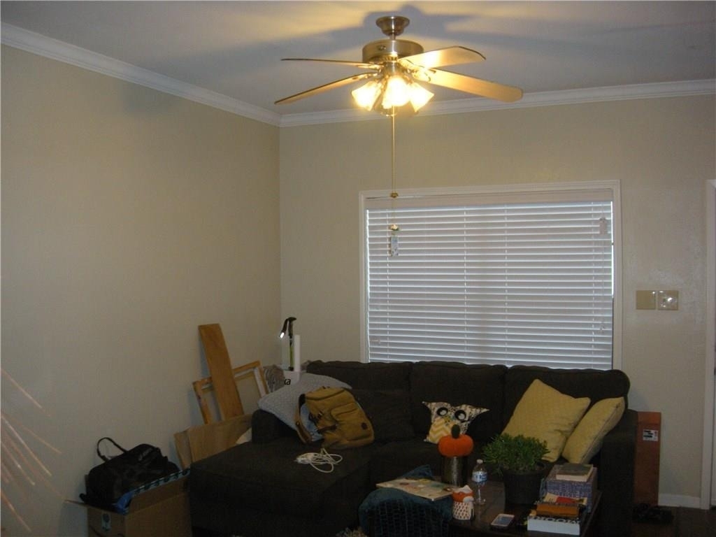 915 W 23rd St - Photo 3