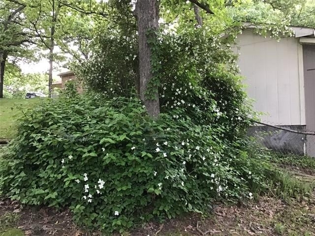 5320 Loma Vista - Photo 13