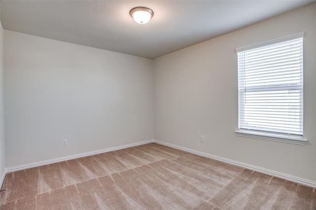 1237 Sharp Street - Photo 8