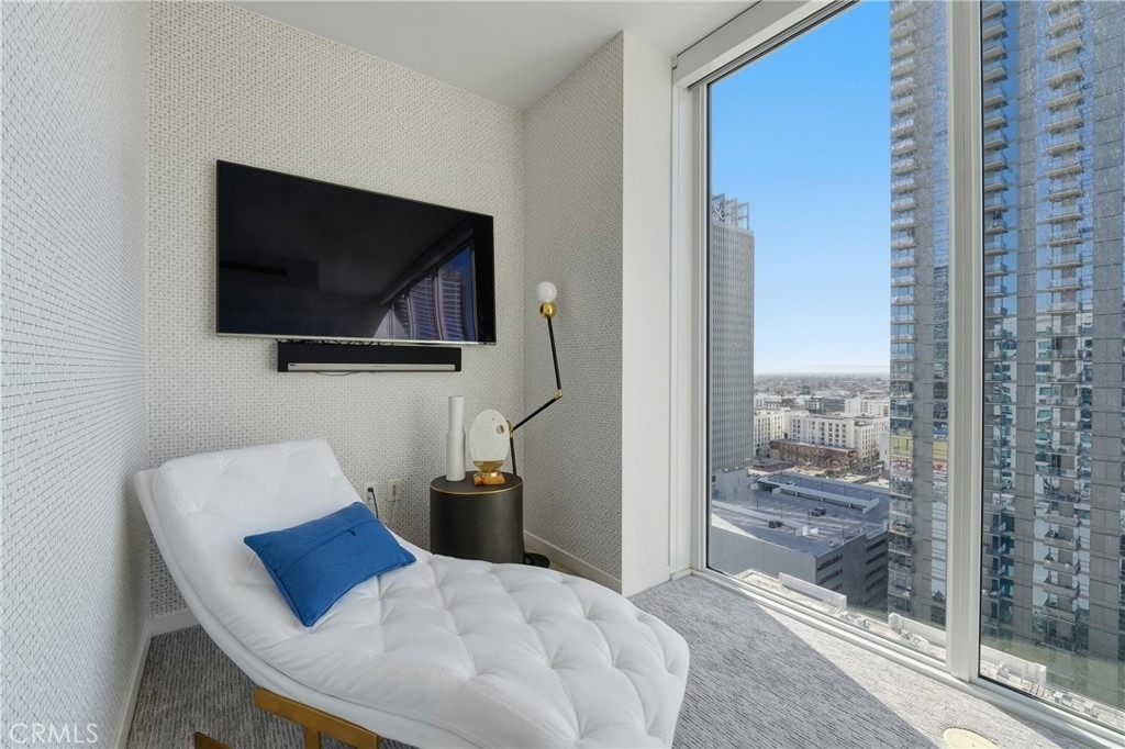 1050 S Grand - Photo 37
