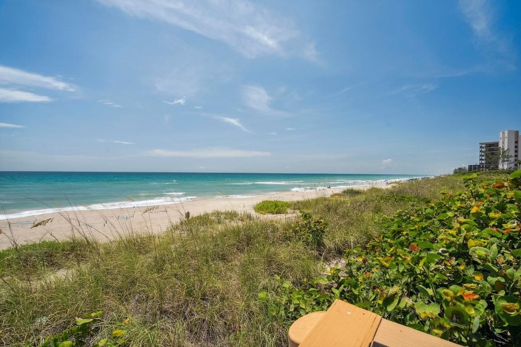 10680 S Ocean Drive - Photo 36