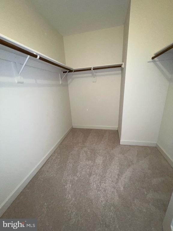 2104 Patty Lane - Photo 11