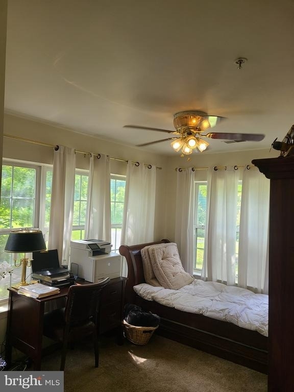 6602 Lake Park Drive - Photo 10