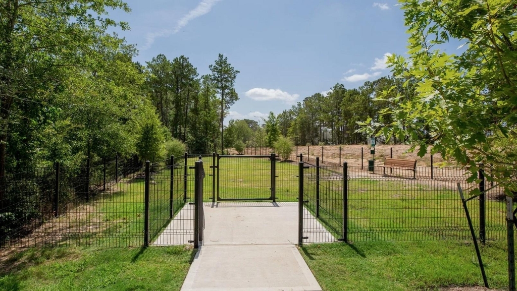 411 Brushback Drive - Photo 18
