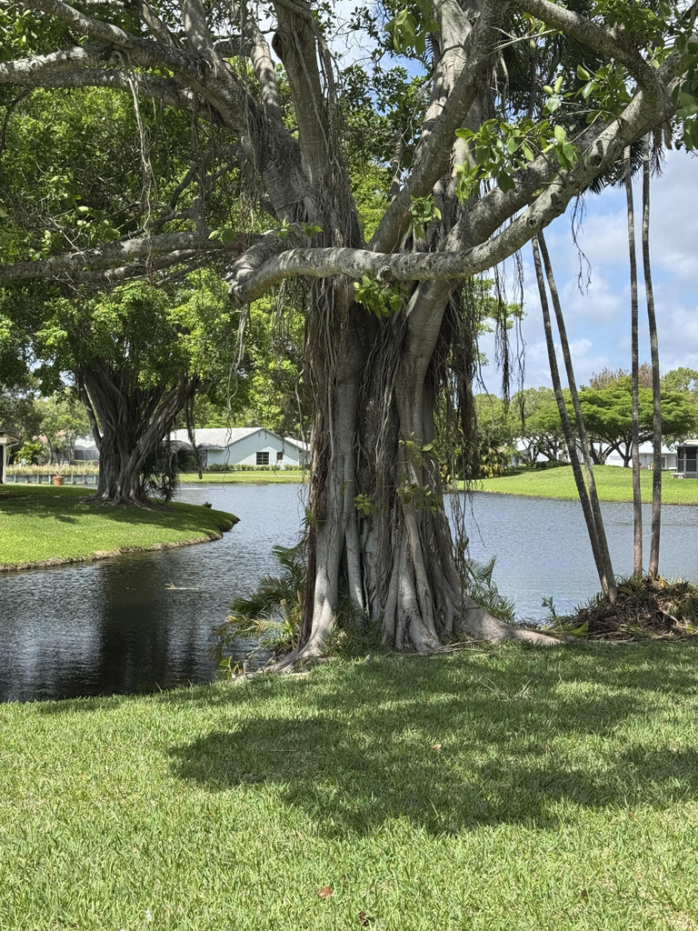 16843 Boca Delray Drive - Photo 48