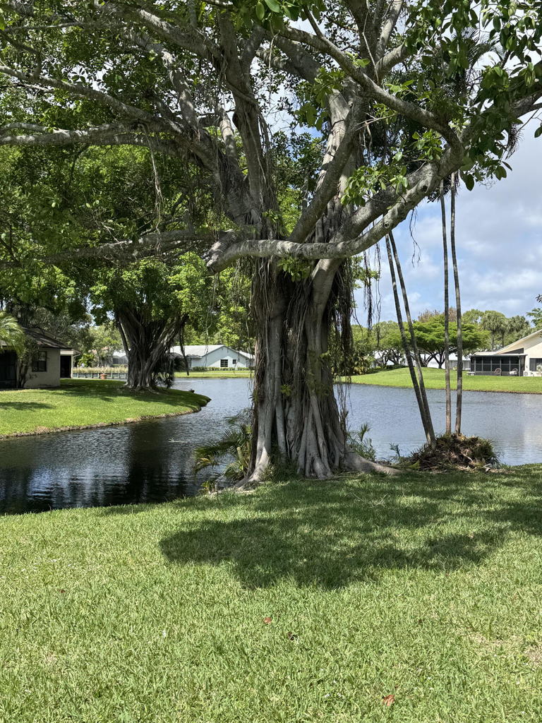 16843 Boca Delray Drive - Photo 46