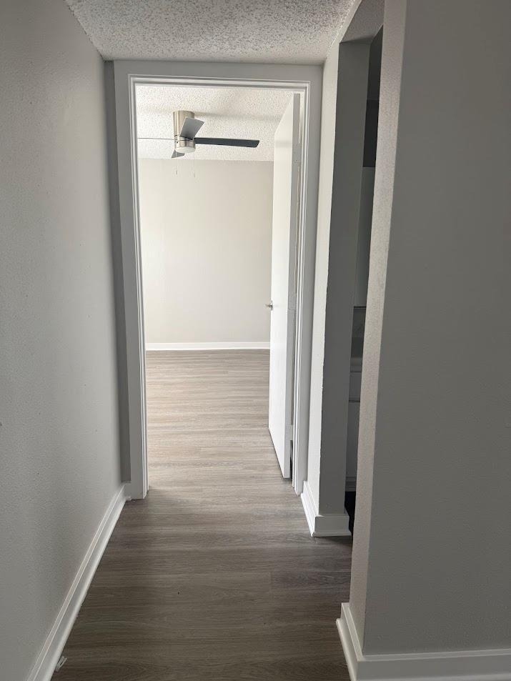 311 E 31 St - Photo 8