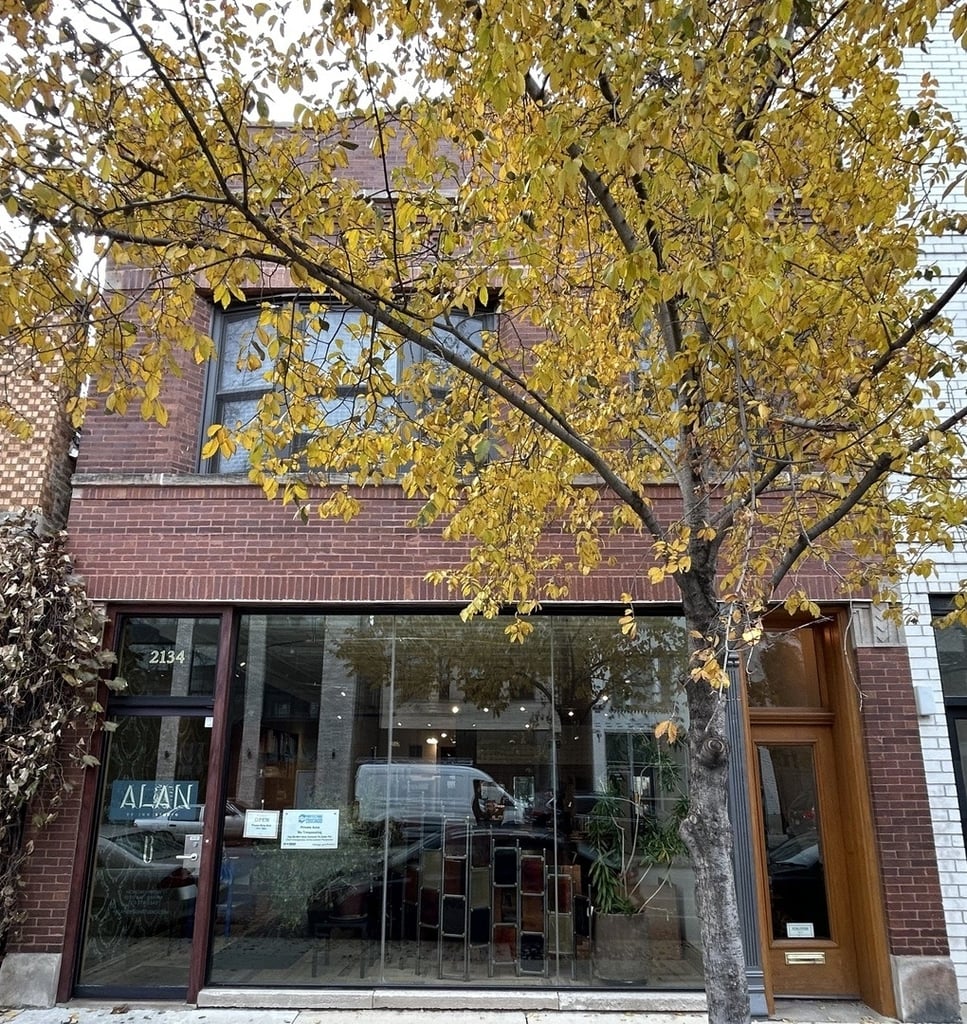 2134 N Damen Avenue - Photo 20