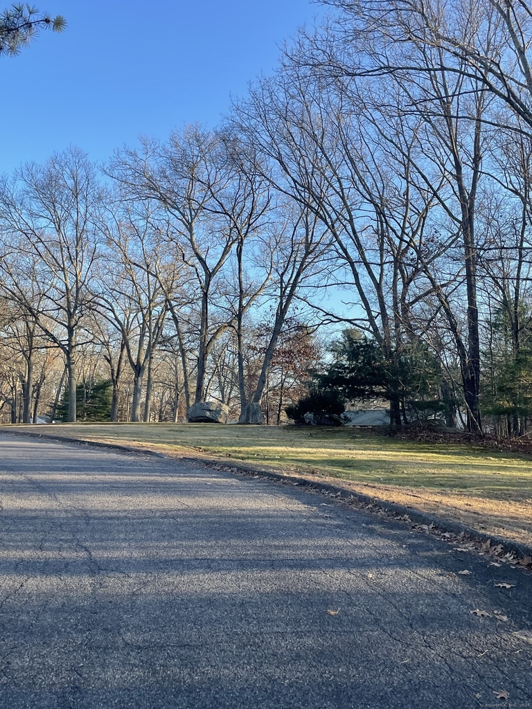 74 Baxter Road - Photo 4