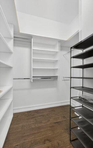 10418 Orchid Reserve Drive - Photo 18