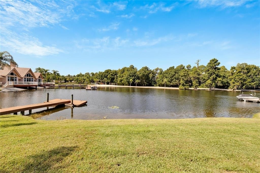 17904 Cachet Isle Drive - Photo 2