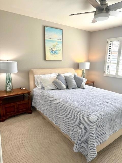 153 Camino Arroyo N - Photo 23