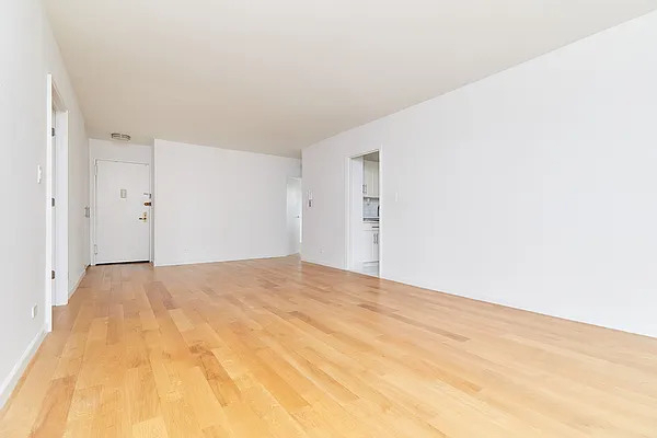 345 E 80th Street - Photo 2