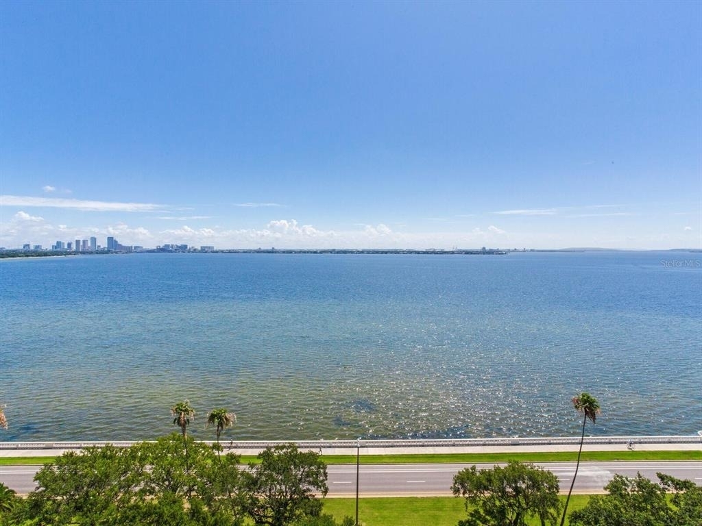 3507 Bayshore Boulevard - Photo 67