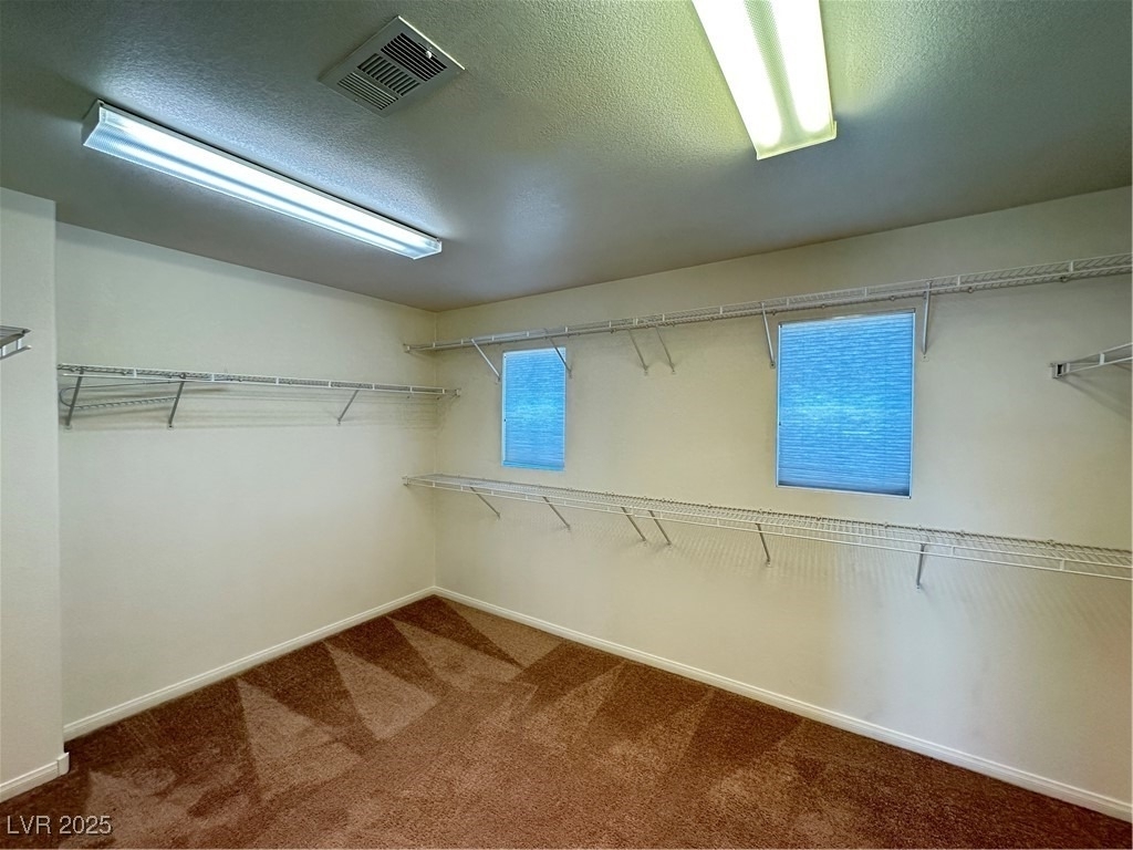 3224 Bishop Pine Street - Photo 17