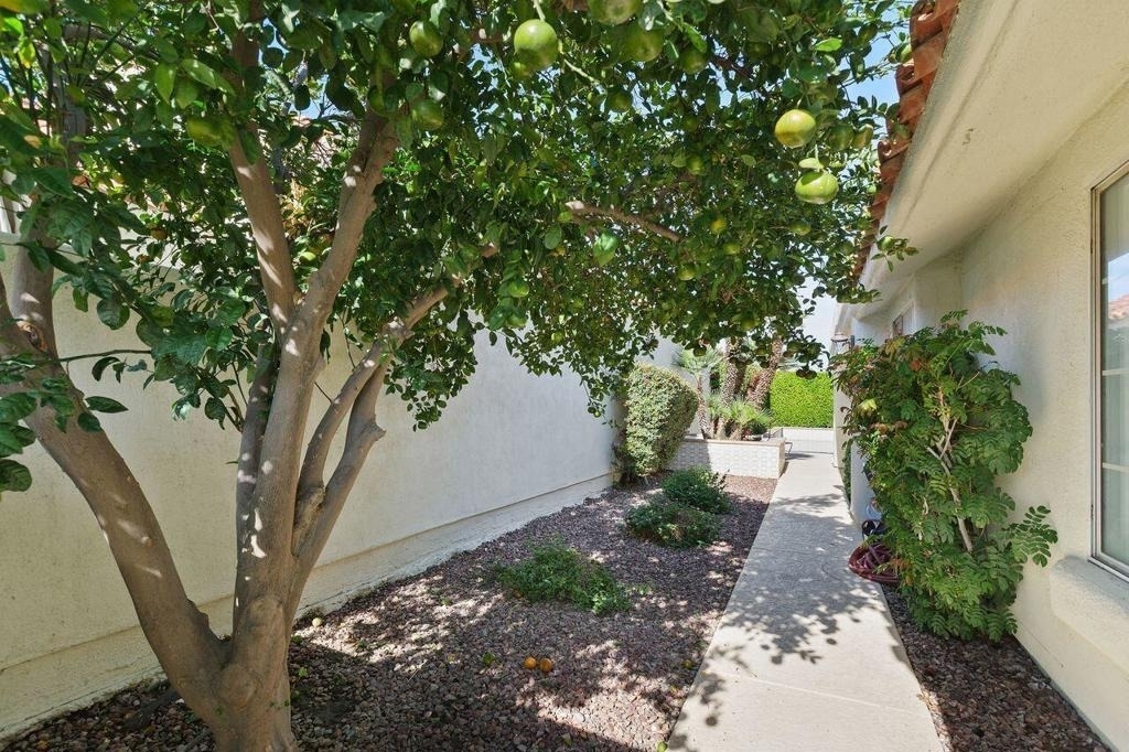 77630 N Calle Las Brisas - Photo 2