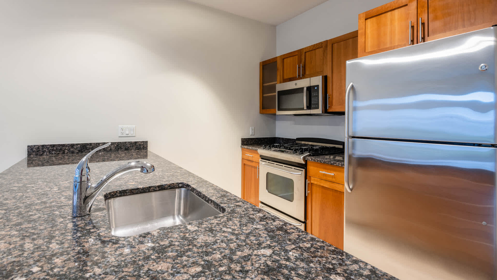 4 Emerson Place - Photo 6