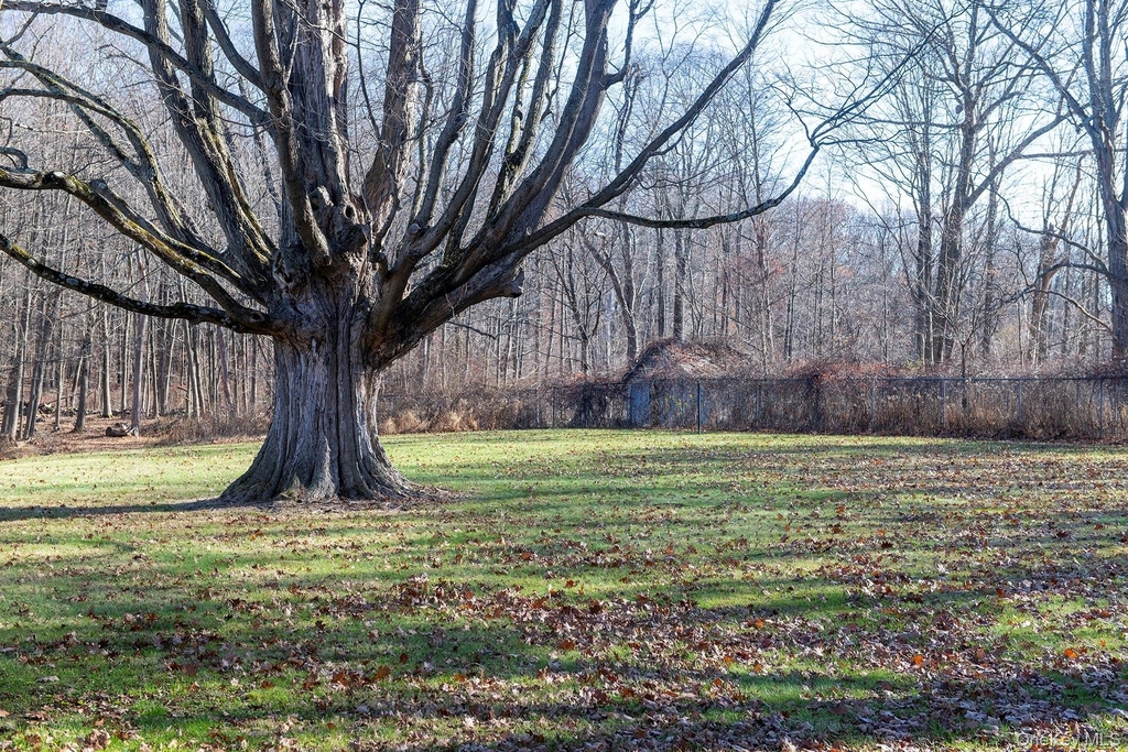 58 On The Green - Photo 30